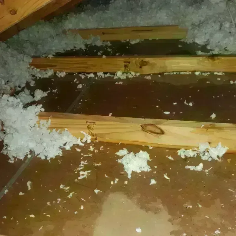 Attic Water Damage in Los Altos, CA