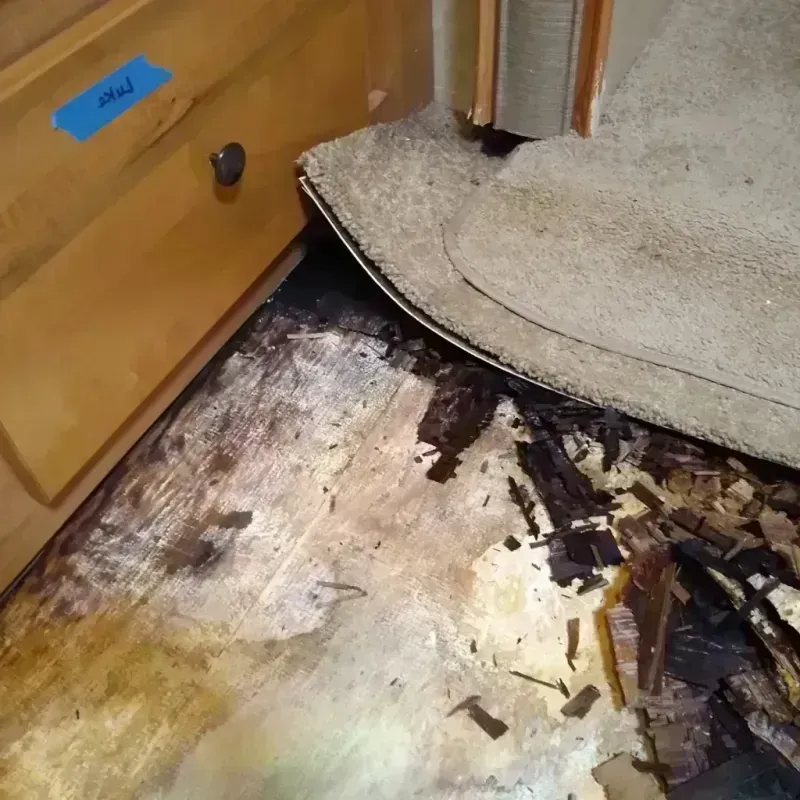 Best Wood Floor Water Damage Service in Los Altos, CA